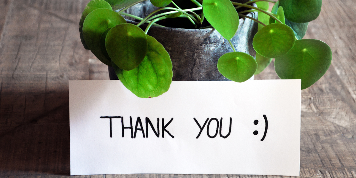 Thank you